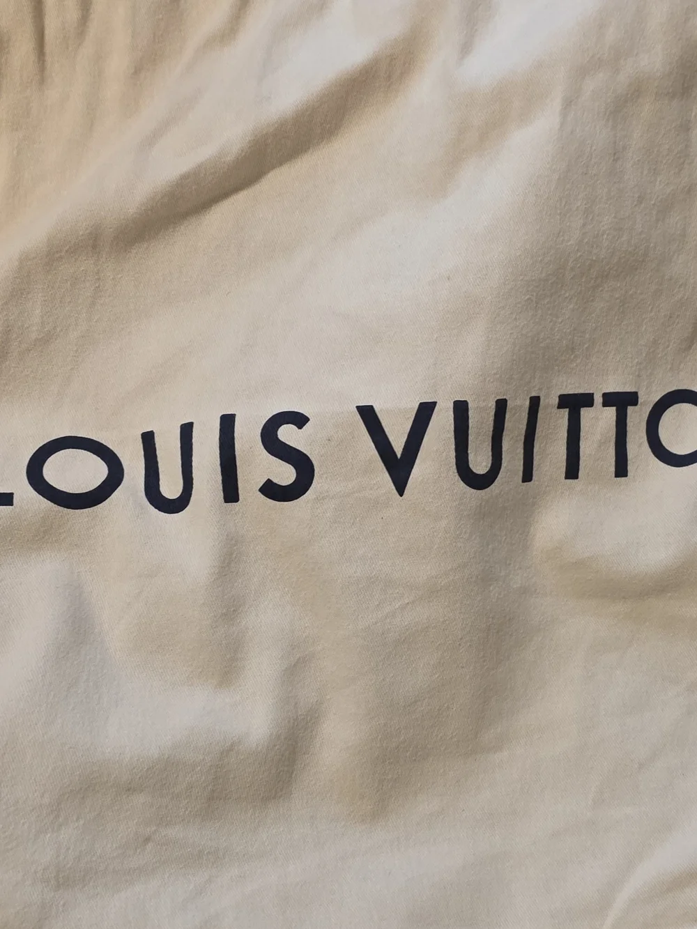 Louis Vuitton Duomo Hobo Bag